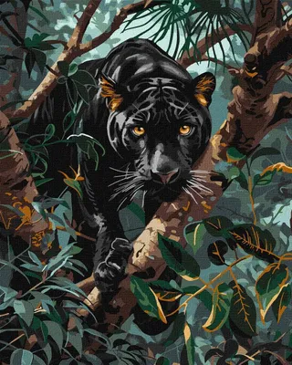 Produktbild von Malen nach Zahlen – Panther 40 x 50 cm – Ideyka