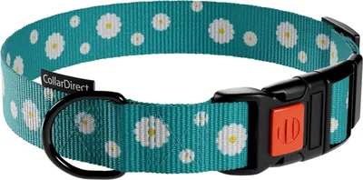 Immagine prodotto di Collare per cani in nylon con fibbia Circonferenza del collo regolabile 30,5-40,6 cm