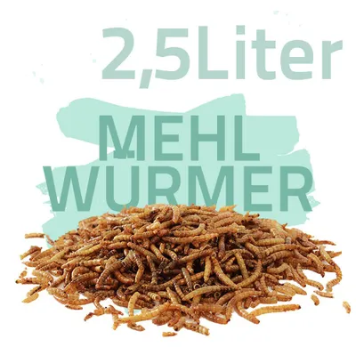 2,5 Liter Mehlwürmer getrocknet