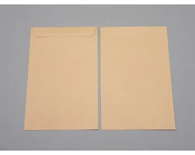 Produktbild von Versandtaschen 229x352mm 90g/qm gummiert VE=250 Stück braun