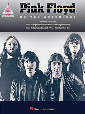 Immagine prodotto di Pink Floyd - Guitar Anthology