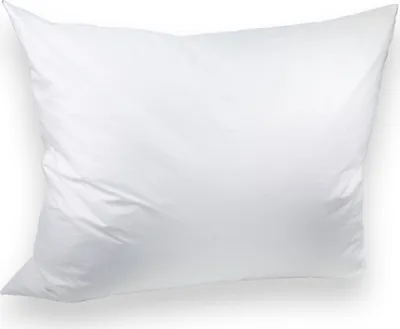 Zdjęcie produktu dla Poduszka puchowa PREMIUM 70x90 cm 1100 g biała