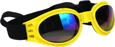 Produktbild von Polarisierte Hunde-Sonnenbrille für kleine Rassen, UV-Schutz, winddichte Sonnenbrille, Haustierbrille, verstellbare, faltbare Brille mit Gummiband für Outdoor-Camping, Reisefotos