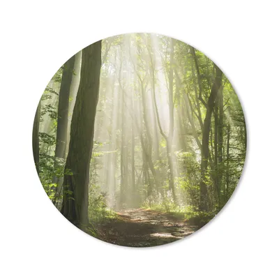 Produktbild von MuchoWow® Mauspad Mousepad Wald - Licht - Natur - Landschaft 20x20 cm - Mousepads - Maus Mat - Pad - Mausunterlage - Schreibtischmatte