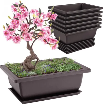 Produktbild von Famanu Bonsaischalen Set - 6 wiederverwendbare Schalen mit Untersetzern - 16,5 x 12 x 6 cm