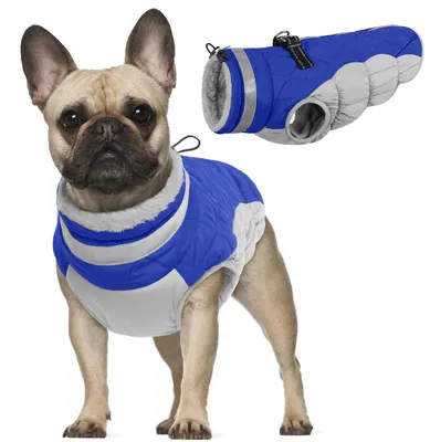 Immagine prodotto di Giacca per cani, pile, gilet invernale, calda, impermeabile, riflettente, blu, taglia XS