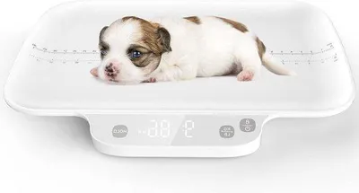 Immagine prodotto di Bilancia per cani di piccola taglia e gatti - Precisione 0035 oz - max. 15 kg - bilancia digitale per animali