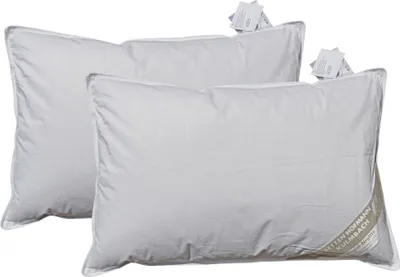 Produktbild von 2 Stück Betten Hofmann kuschelweiche Daunenkissen 40x60 cm Kopfkissen 150 g Daunen 100% Natur