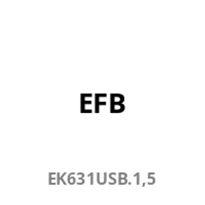 Obrázek produktu pro EFB Elektronik EFB-Elektronik - Napájecí lišta (montáž do racku) - vstup, vstup CEE 7/7 - výstupní připojení: 18 (9 x USB typu A, 9 x USB-C)