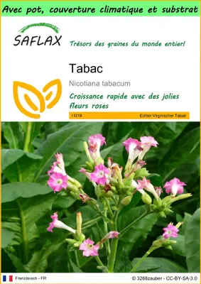 Image de SAFLAX Garden to go - Tabac - 250 graines - Nicotiana