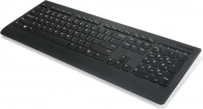 Image de Lenovo Professional/Sans fil USB/SK layout/Noir