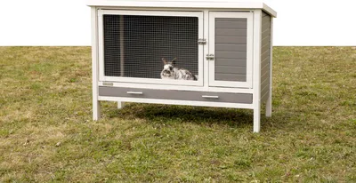 Produktbild von Kerbl ECO-Kunststoff-Nagerstall Samy LxBxH: 116x57x82 cm