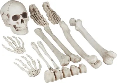 Image de Relaxdays - Os décoratifs, lot de 12 pièces, décoration d'Halloween, pour l'extérieur et l'intérieur, os, crânes et mains de squelettes, décoration d'horreur, XXL