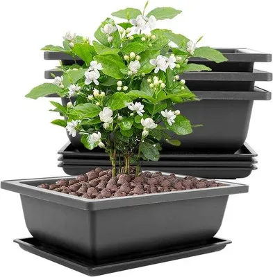 Produktbild von 8er-Set große 23 x 17 x 8 cm Bonsai-Teller mit Kunststoff-Bonsai-Beeten geeignet für Gärten, Innenhöfen, Büros, Wohnzimmer, Balkone (schwarz)