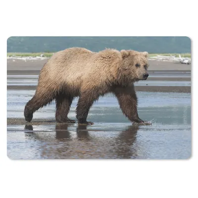 Produktbild von MuchoWow® Mauspad Mousepad Bär - Strand - Wasser 27x18 cm - Mousepads - Maus Mat - Pad - Mausunterlage - Büroartikel - Desk Matten
