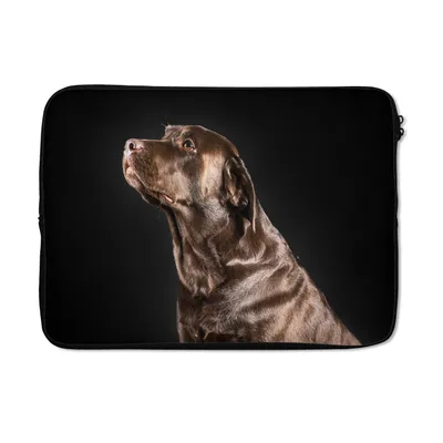 Produktbild von MuchoWow® Laptop Hülle 14 ZollHund - Braun - Porträt Laptoptasche - Laptoptasche - Stoßsicher - Schutzhaube