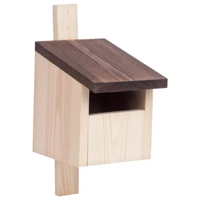 Obrázek produktu pro Woodygift ptačí budka typ P opalovaná dřevěná, hnízdní budka pro ptáky, budka pro kosa, červenku, konipasa, rehka na zahradu
