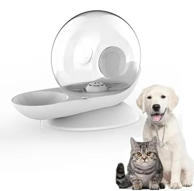 Produktbild von Wasserspender für Katzen und Hunde 2.8L Automatischer Schwerkraft Trinkbrunnen mit Filter Grau L