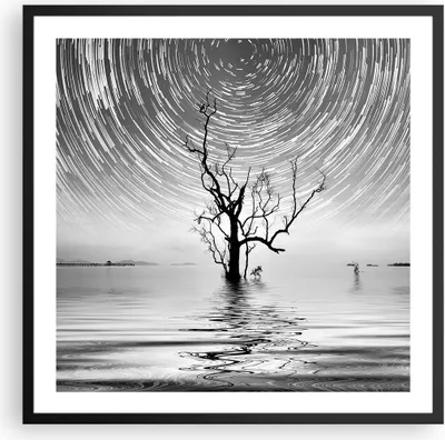 Produktbild von Gerahmtes Poster - Schwarzer Rahmen - Schwarzweiß Baum See - 60x60 cm - Wand Bild - Wanddeko - Wandbilder - Kunstposter - Wandposter - Bilderrahmen - Bilder - Kunstdruck - Wandbild - P2BAC60x60-4253