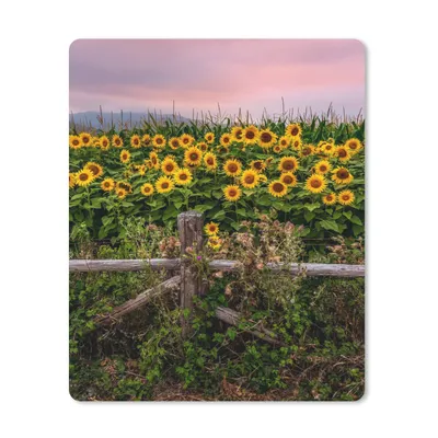 Produktbild von MuchoWow® Mauspad Mousepad Sonnenblume - Blumen - Pflanzen 19x23 cm - Mousepads - Maus Mat - Pad - Mausunterlage - Mauspads - Spielen