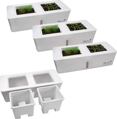 Produktbild von 4er Set Indoor Kräutertopf selbstbewässernd Küchen Kräuter Gewächshaus Pflanzgefäß