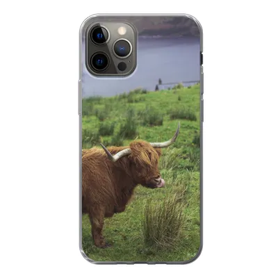 Produktbild von MuchoWow® Handyhülle Schutzhülle Hülle für iPhone 13 Pro Schottische Highlander - Gras - Wasser - Tiere Silikon Softcase Handy Hülle - Handy-Tasche