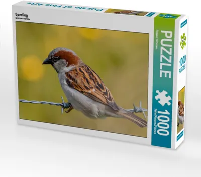 Produktbild von Calvendo Sperling 1000 Teile Puzzle quer 640x480mm, Störmer Roland; 7447741