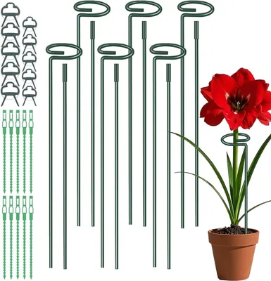 Obrázek produktu pro Podpěry pro rostliny, 30 cm/60 cm/90 cm, 6 kusů, nastavitelné, s podpěrným kroužkem a 10 sponami, vhodné pro rostliny v zahradě
