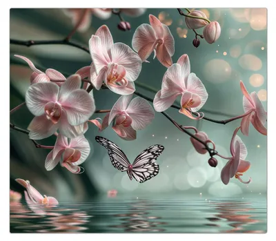 Produktbild von Spritzschutz Herdabdeckplatte Schneidebrett aus Glas Orchideen Schmetterling 1-Teilig (60x52cm)