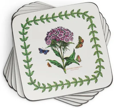 Image de Supports de jardin - Lot de 6 - 10 x 10 cm