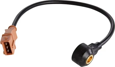 Image de Capteur De Boucle