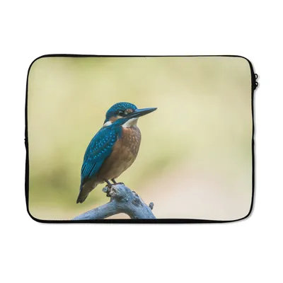 Produktbild von MuchoWow® Laptop Hülle 13 Zoll Eisvogel - Zweig - Vogel Laptoptasche - Laptophülle - Sleeve - Rundumschutz