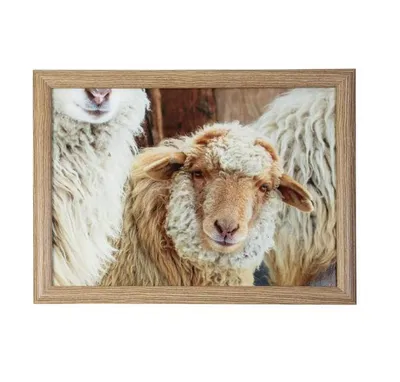 Produktbild von Landhaus Tablett, Knietablett, Kissentablett, Schoßtablett Schaf beige