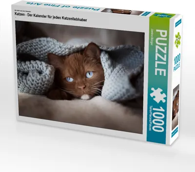 Produktbild von CALVENDO Puzzle Ein Motiv aus dem Kalender Katzen - Der Kalender für jeden Katzenliebhaber | 1000 Teile Lege-Größe 64x48cm Foto-Puzzle für glückliche Stunden