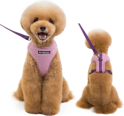 Produktbild von Pet Vest Harness Prodyšný měkký polstrovaný vstupní postroj Postroj Vodítko Set pro domácího mazlíčka Pes Kočka Venkovní výcvik, Velikost S Fialová