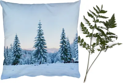 Produktbild von MuchoWow® Zierkissen Sofakissen Wohnzimmer Dekokissen 50x50 cm Winter - Schnee - Bäume - Komfort - Sofakissen