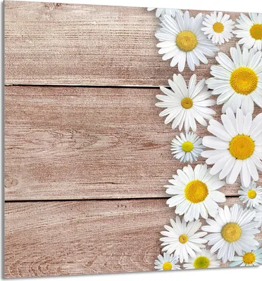 Produktbild von GLASPLATTE FÜR KÜCHE 60x65 Holz