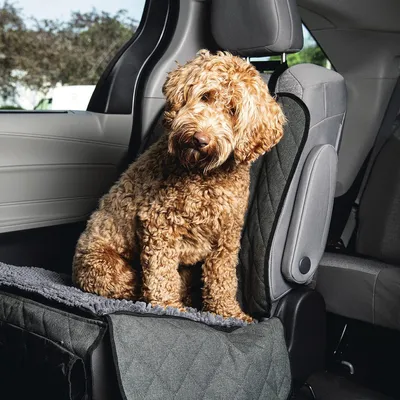 Produktbild von Karlie Dirty Dog Schondecke für Autositze grau, Maße: 112 x 89 cm