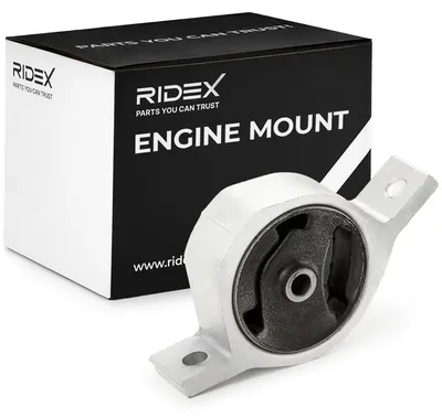 Produktbild von RIDEX Motorlager Hinten für FORD Fiesta Mk4 Schrägheck (JAS, JBS) 247E0524
