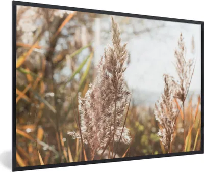 Produktbild von MuchoWow® Gerahmtes Poster Schilf - Sonne - Pflanze 90x60 cm - Poster mit Schwarzem Bilderrahmen Wandposter Rahmen Foto Bilder - Fotorahmen - Foto-Plakat