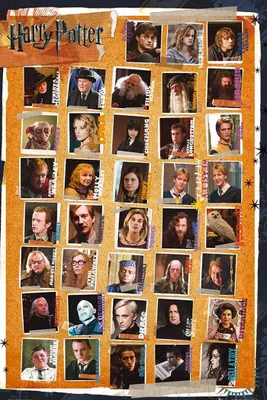 Obrázek produktu pro GBeye Harry Potter 7 Postavy Plakát 61x91,5cm.
