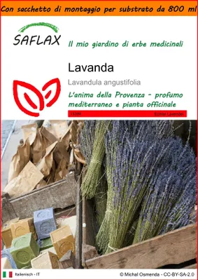 Immagine prodotto di SAFLAX Garden in the bag - Lavanda - 150 semi - Lavandula