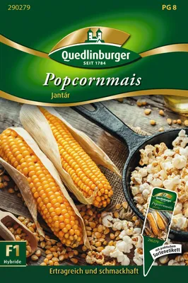 Produktbild von Mais Popcorn Jantar | Maissamen von Quedlinburger