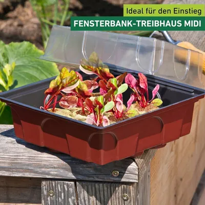 Produktbild von Mini-Gewächshaus mit 12 Quelltabletten