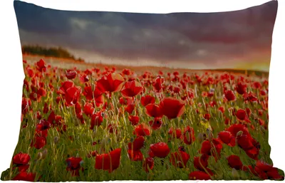 Produktbild von MuchoWow® Outdoor Kissen - Sonnenuntergang - Mohnblumen - Rot - Blumen - Feld - Natur - 60x40 cm - Wetterfest - Lounge Kissen - Zierkissen - Kissen für Innenräume