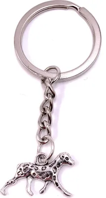 Obrázek produktu pro Onwomania Přívěsek na klíče Běžící pes Pet Stříbrný kovový přívěsek Charm