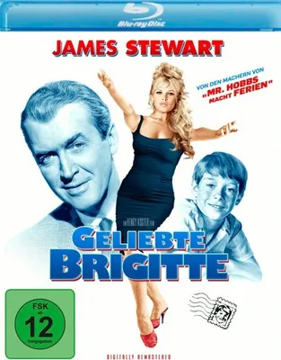 Produktbild von Geliebte Brigitte