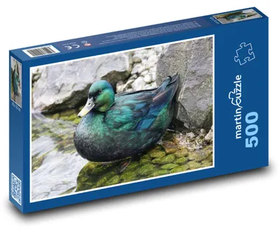 Produktbild von Puzzle 500 Ente am Teich - martinpuzzle