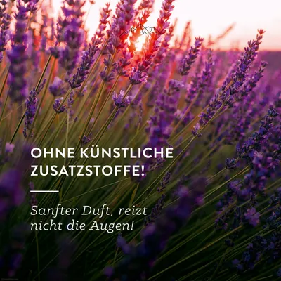Produktbild von AllgäuQuelle Natürlicher Raumduft Airspray – 100% Öle für Allgäuer Nachtruhe mit Lavendel, Alpenzirbe, Eukalyptus
