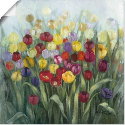 Produktbild von ARTland Poster Tulpenwiese II Größe: 40x40 cm